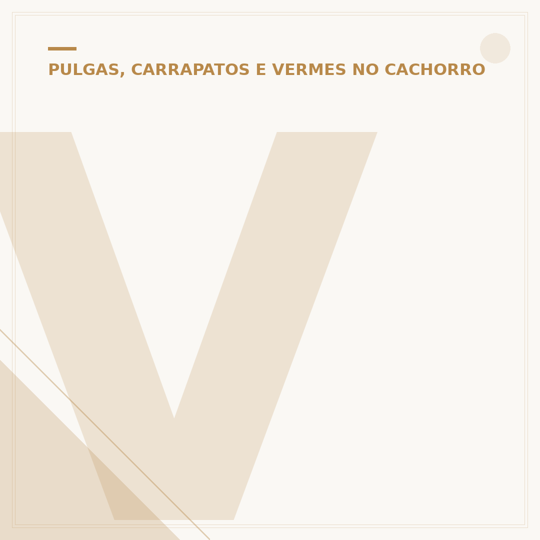 Vacina para carrapato em cachorro: o que saber