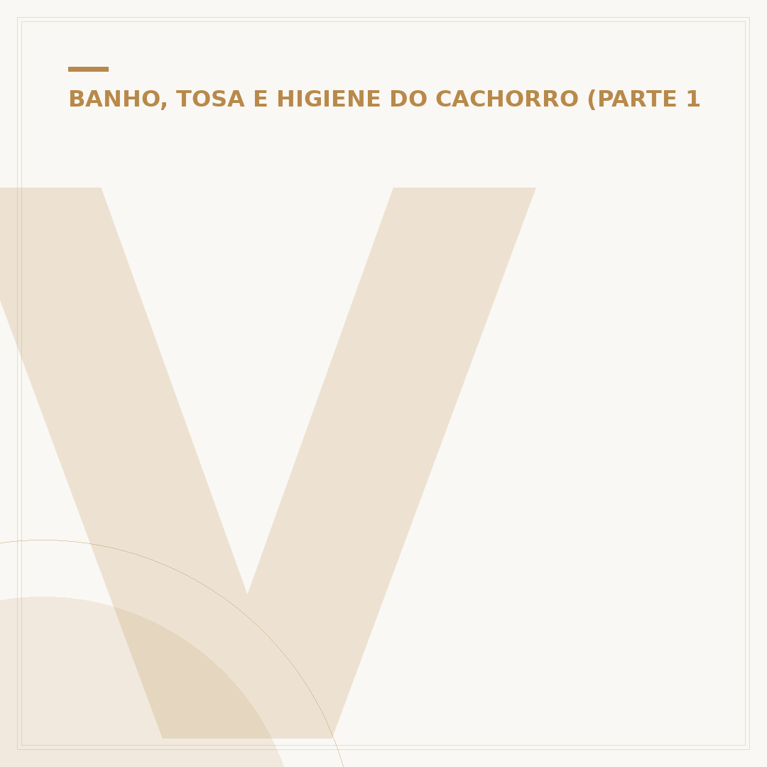 Vagas para banho e tosa: como encontrar oportunidades
