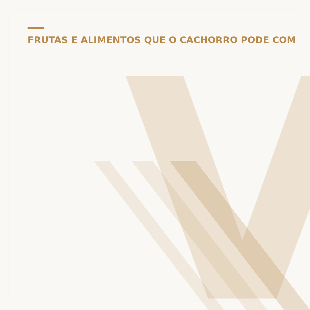Vasilha para água de cachorro