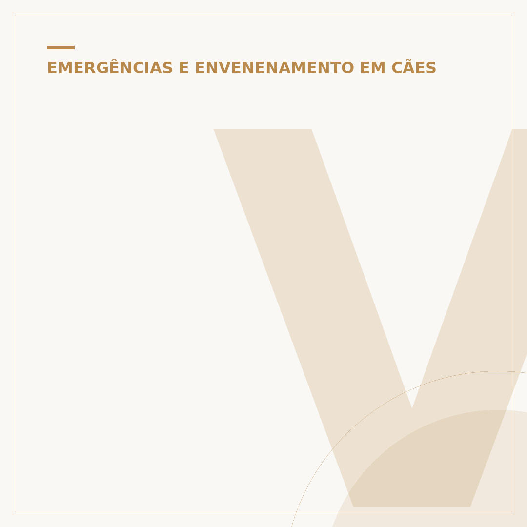 Veneno em barragem: perigos para cachorros e como agir