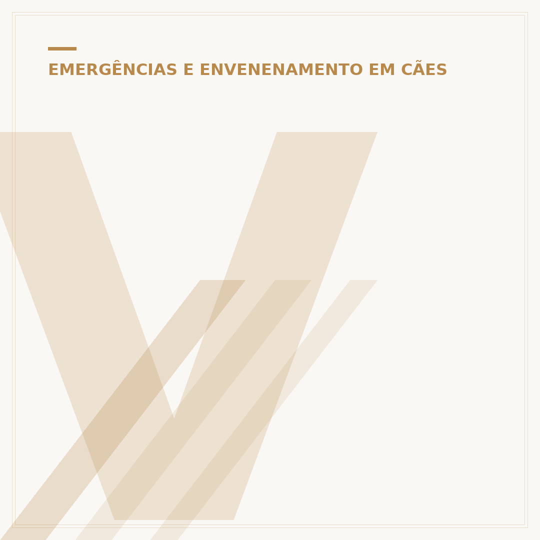Veneno para rato inofensivo para cachorro