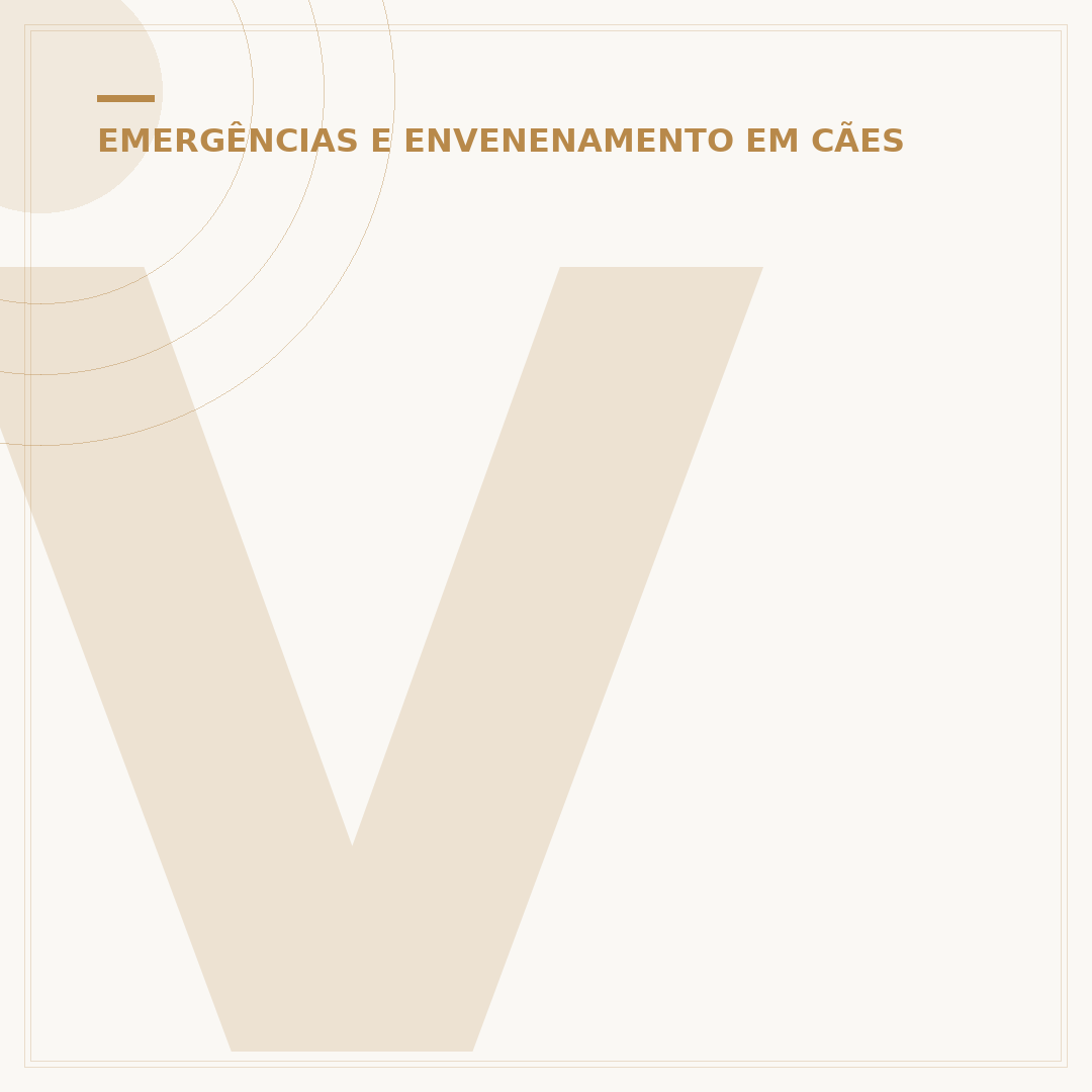 Veneno de rato que não mata cachorro: opções e riscos