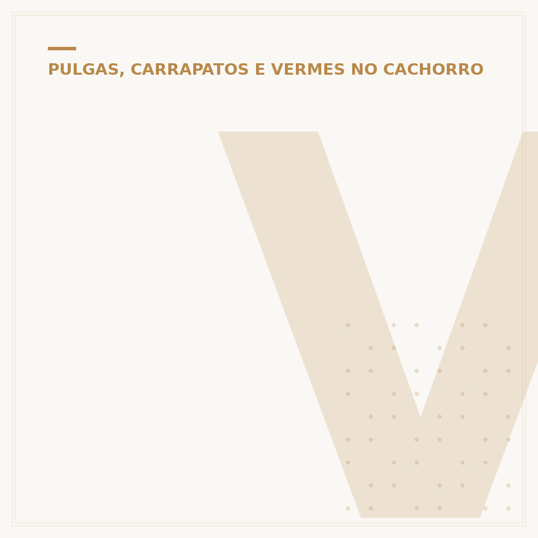 Verme de cachorro na pele: como tratar e prevenir