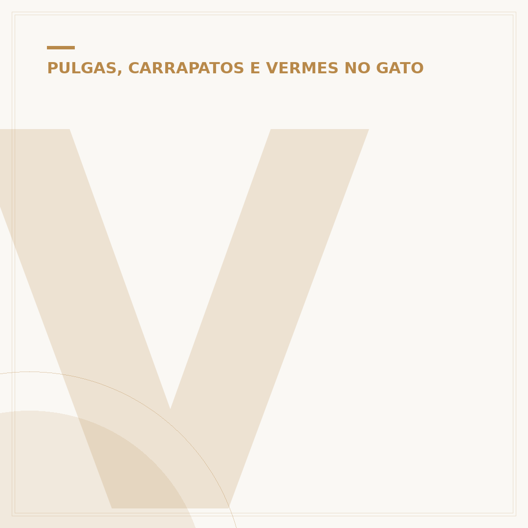 Verme de gato branco: o que é e como identificar