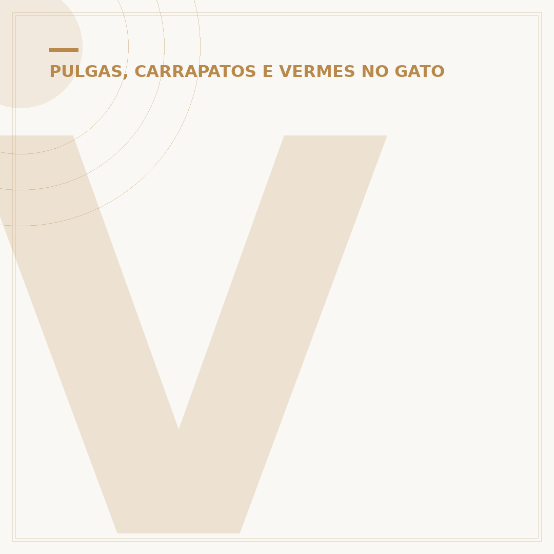Verme de gato