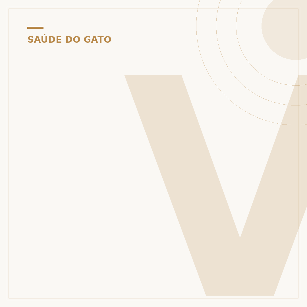 Veterinário para gatos