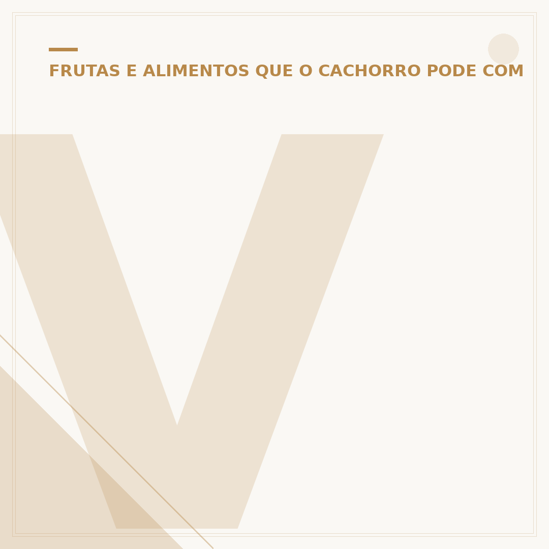Vinho para cachorro: o que é e como escolher