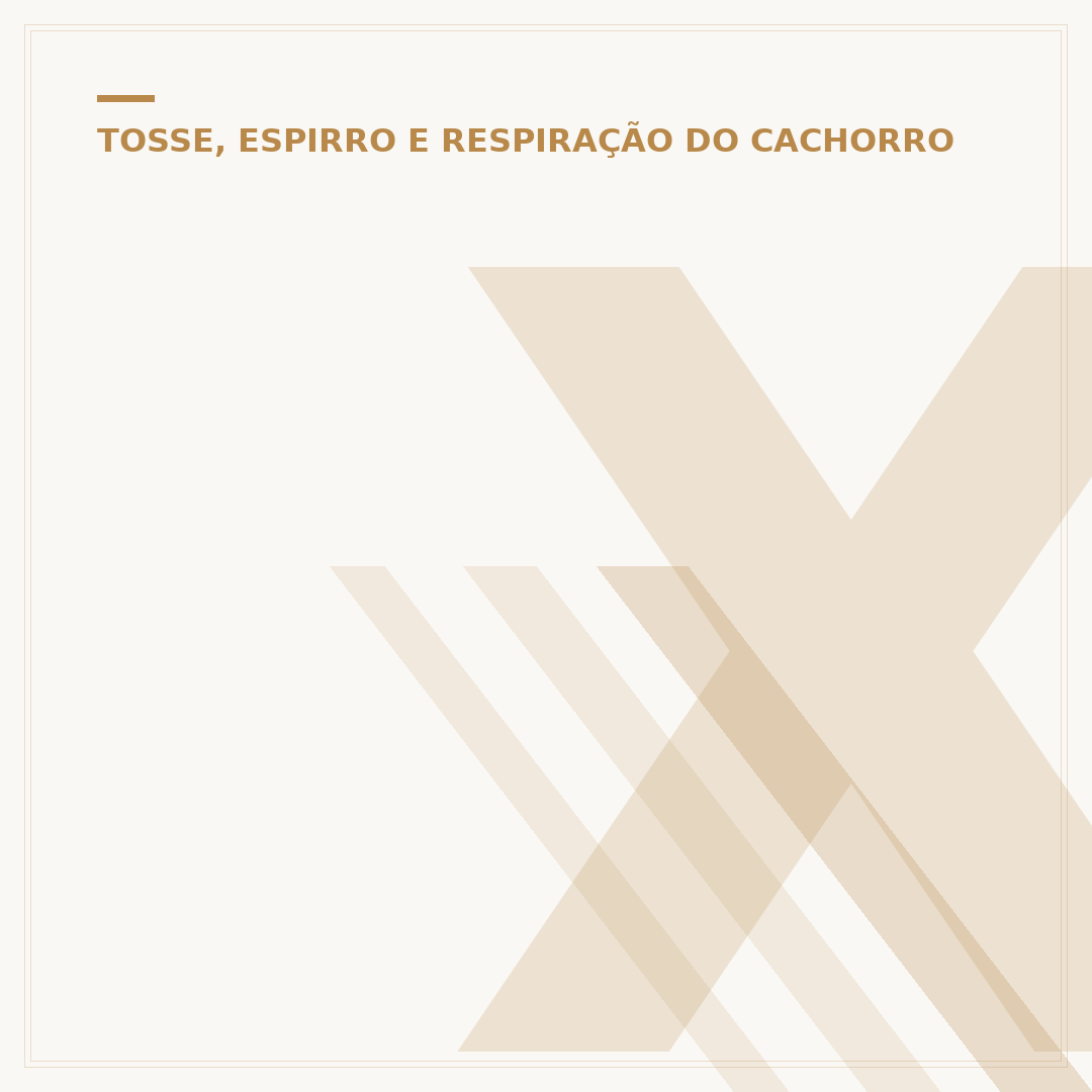 Xarope para cachorro gripado: o que realmente funciona