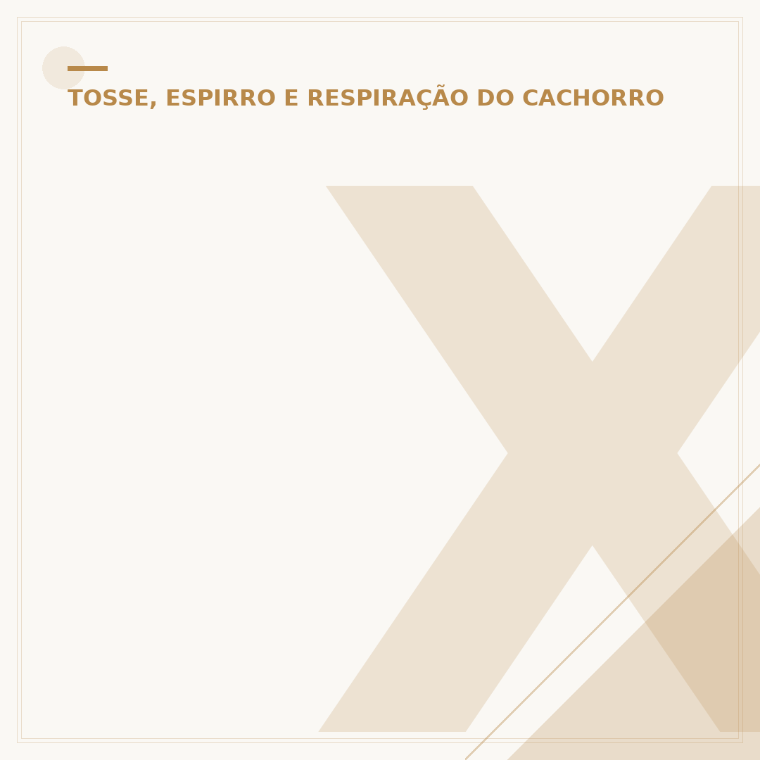 Xarope para cachorro com tosse seca: o que funciona?