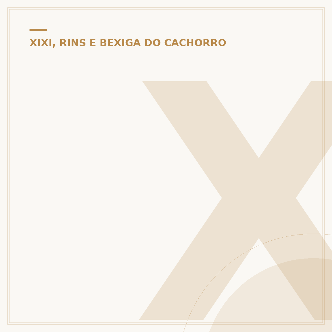 Xixi de cachorro muito amarelo: causas e o que observar