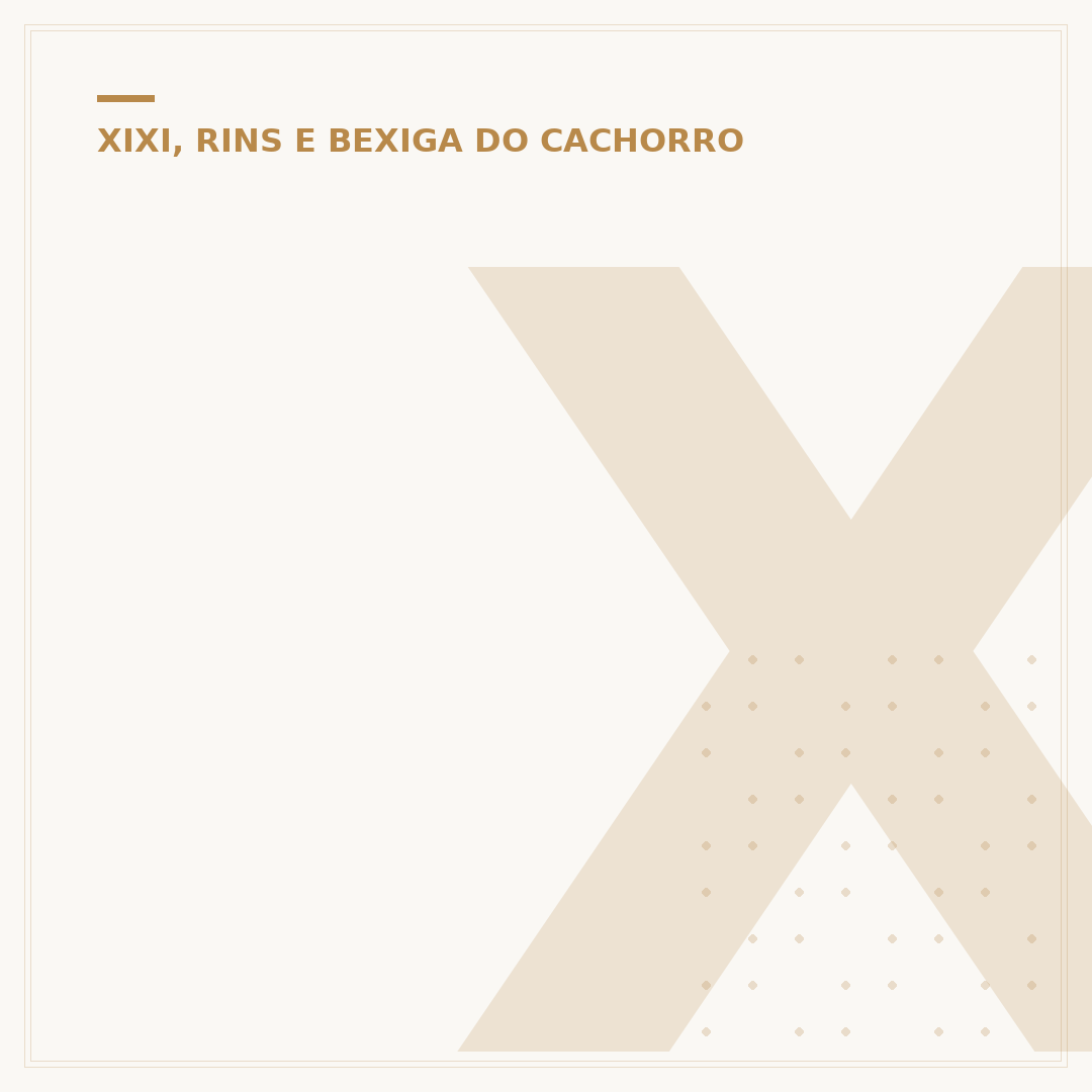 Xixi de cachorro