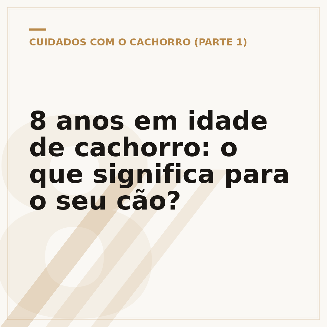 8 anos em idade de cachorro: o que significa para o seu cão?