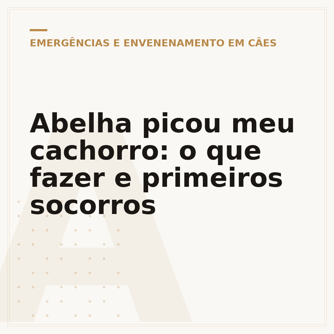 Abelha picou meu cachorro: o que fazer e primeiros socorros