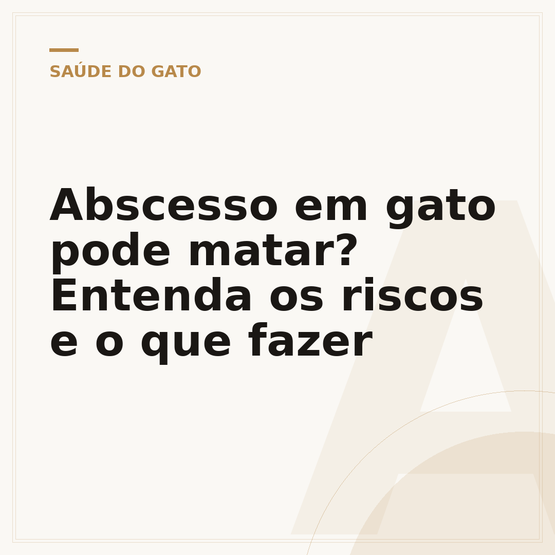 Abscesso em gato pode matar? Entenda os riscos e o que fazer