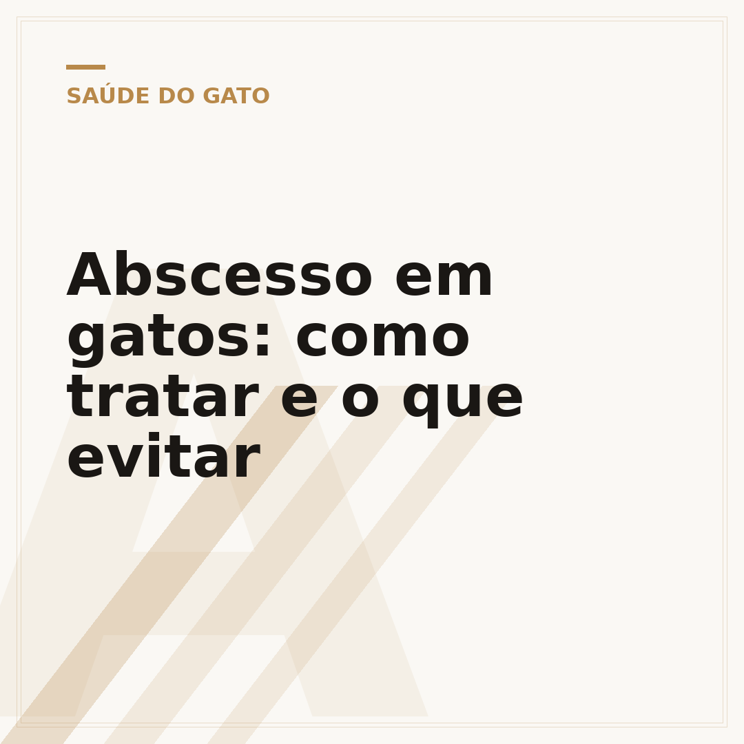 Abscesso em gatos: como tratar e o que evitar