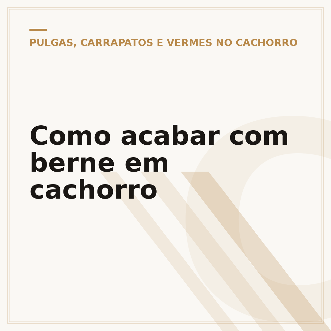 Como acabar com berne em cachorro
