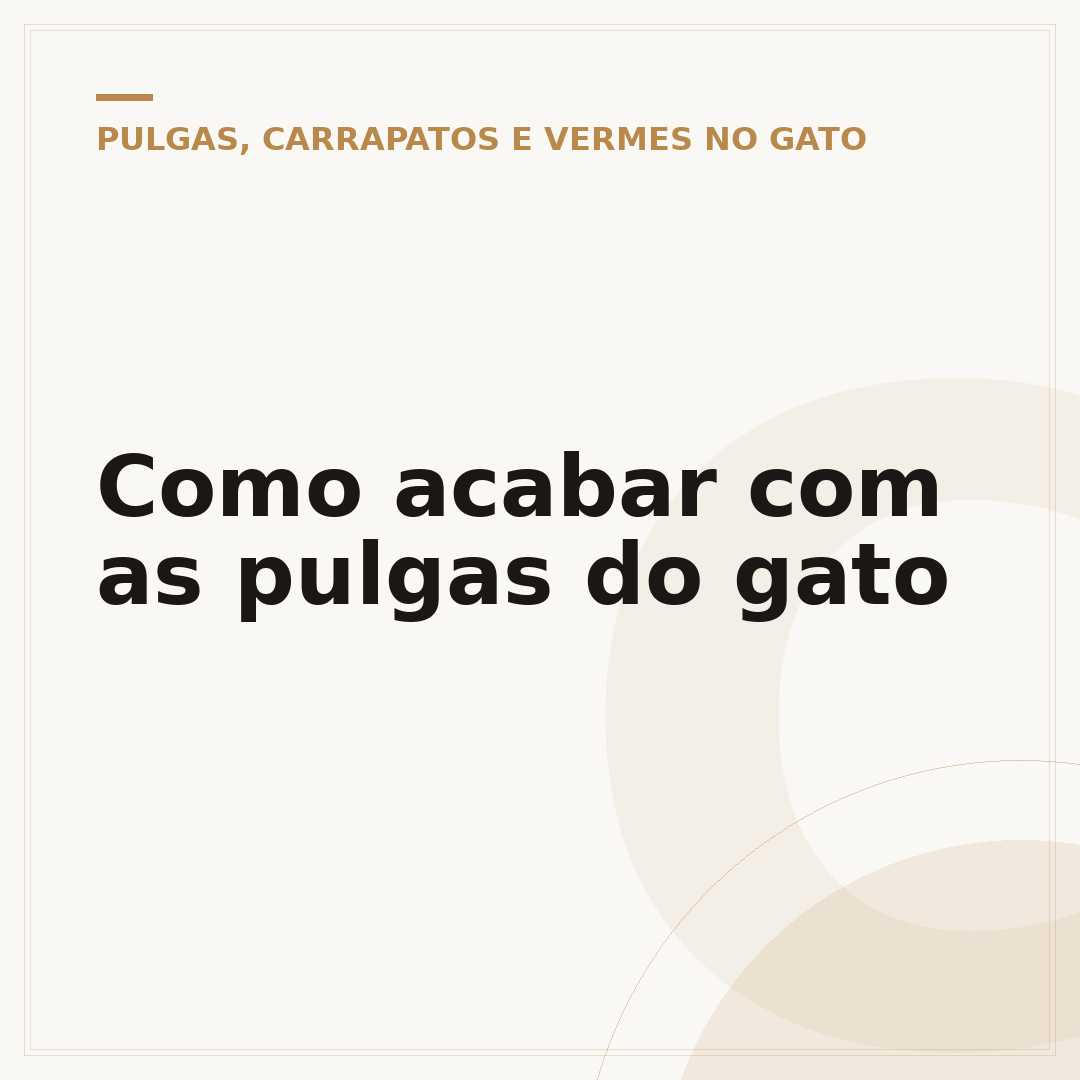 Como acabar com as pulgas do gato