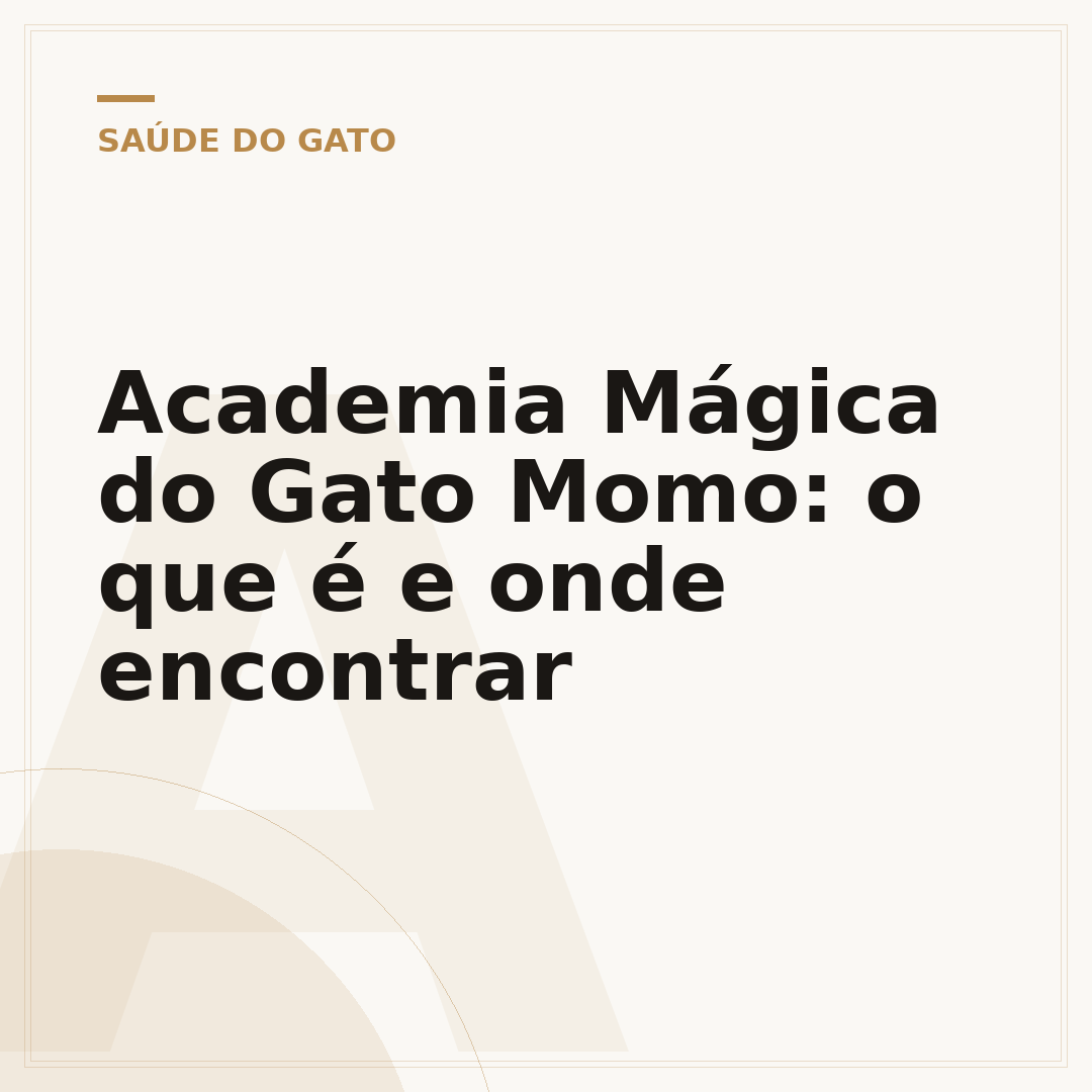 Academia Mágica do Gato Momo: o que é e onde encontrar