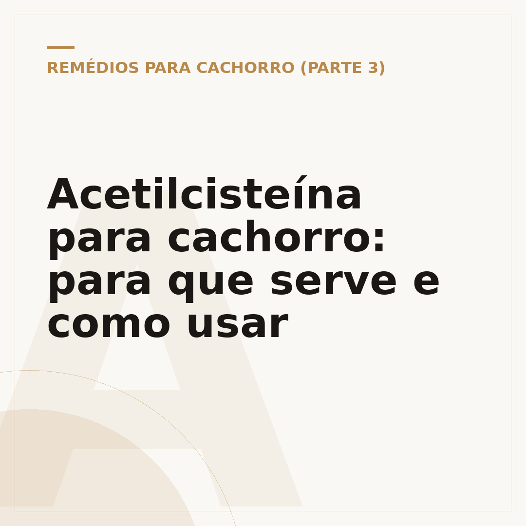 Acetilcisteína para cachorro: para que serve e como usar