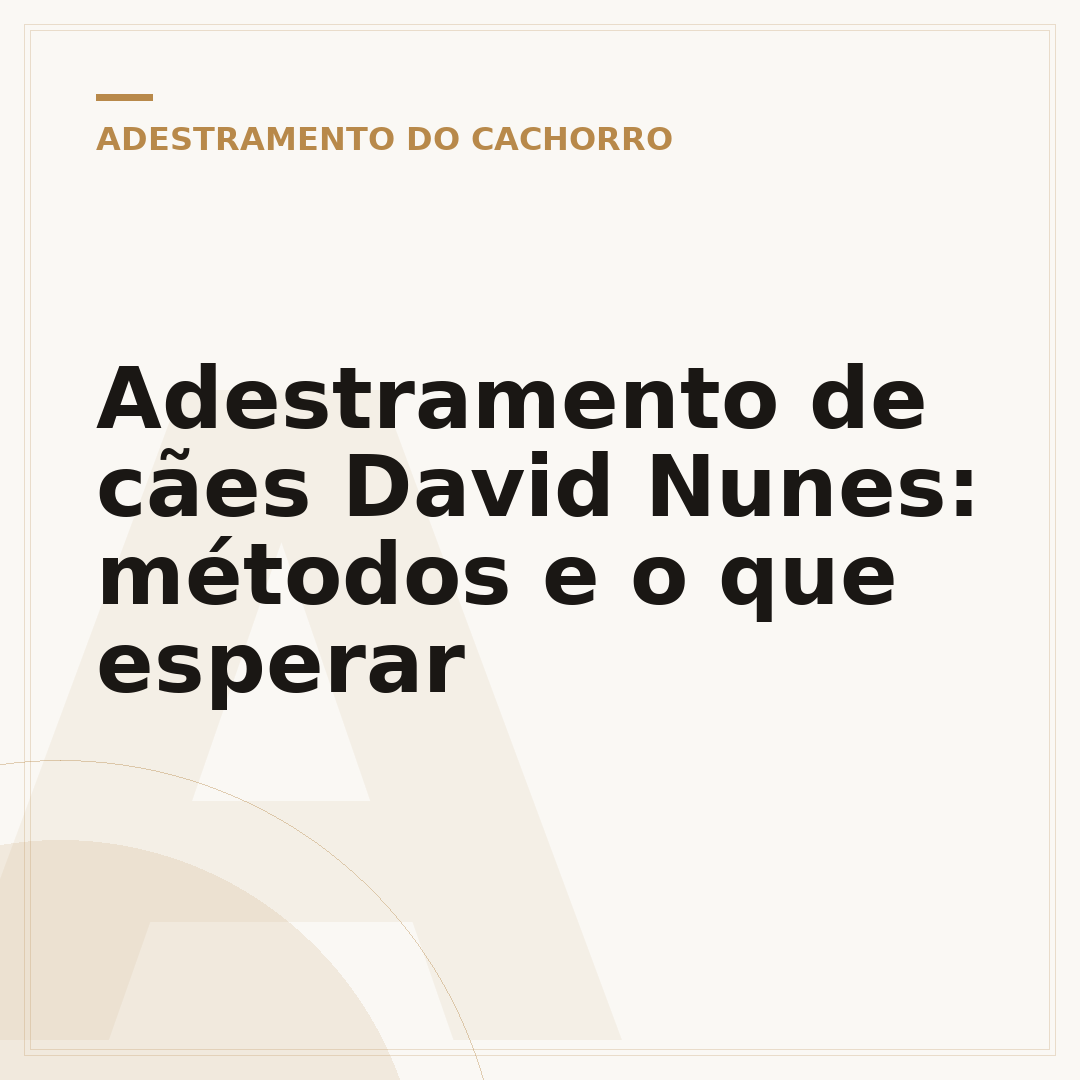 Adestramento de cães David Nunes: métodos e o que esperar