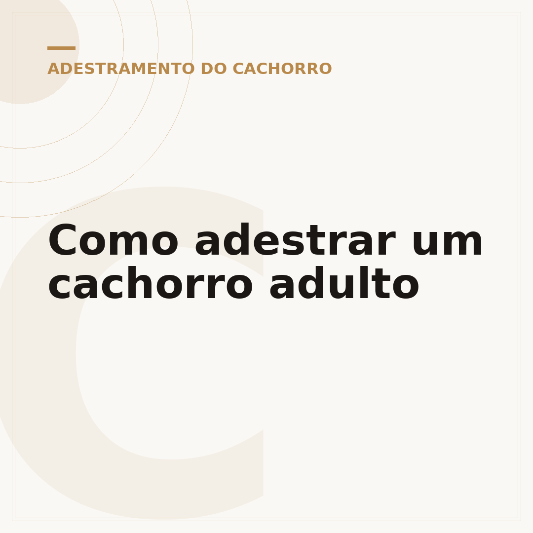 Como adestrar um cachorro adulto