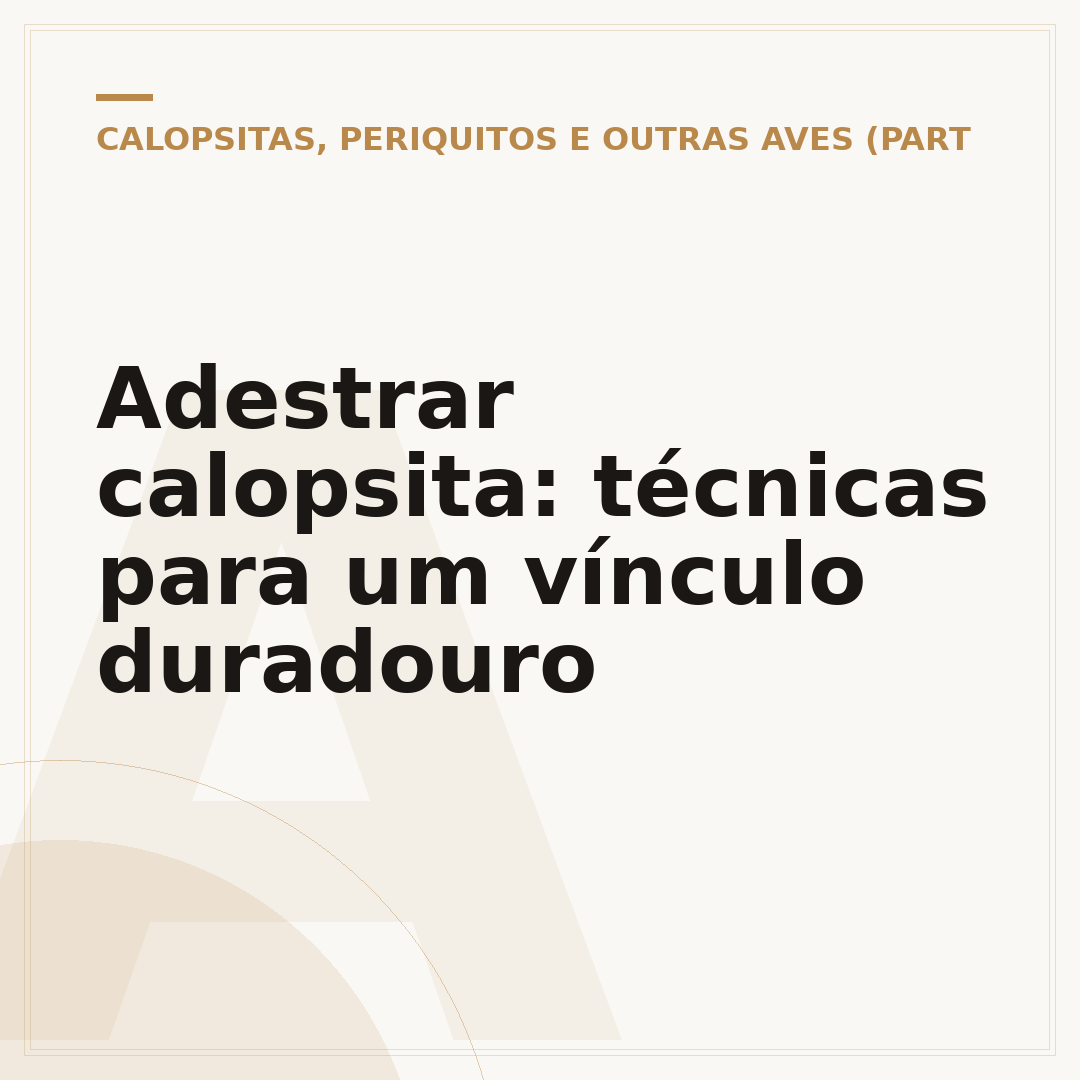 Adestrar calopsita: técnicas para um vínculo duradouro