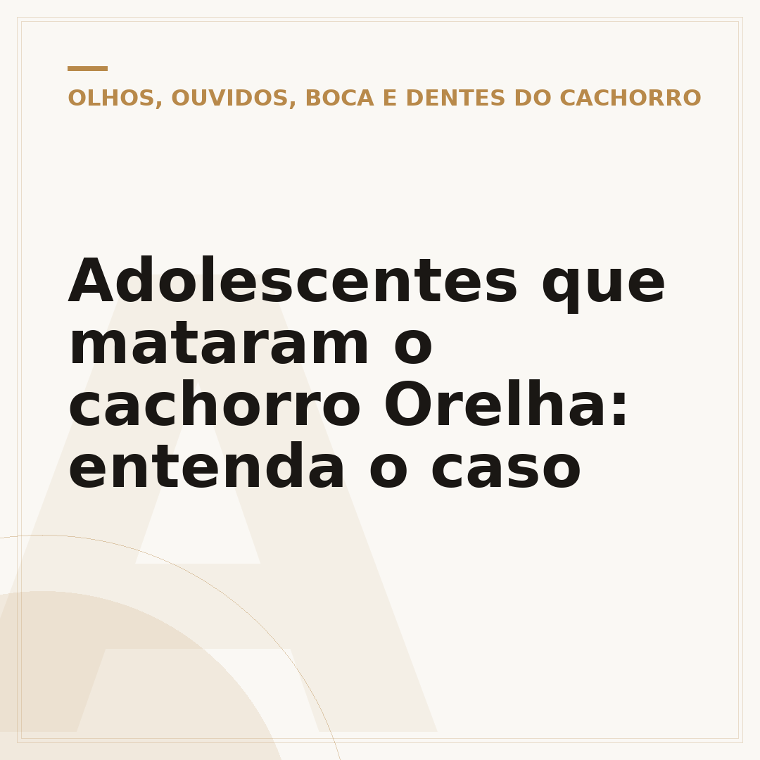 Adolescentes que mataram o cachorro Orelha: entenda o caso