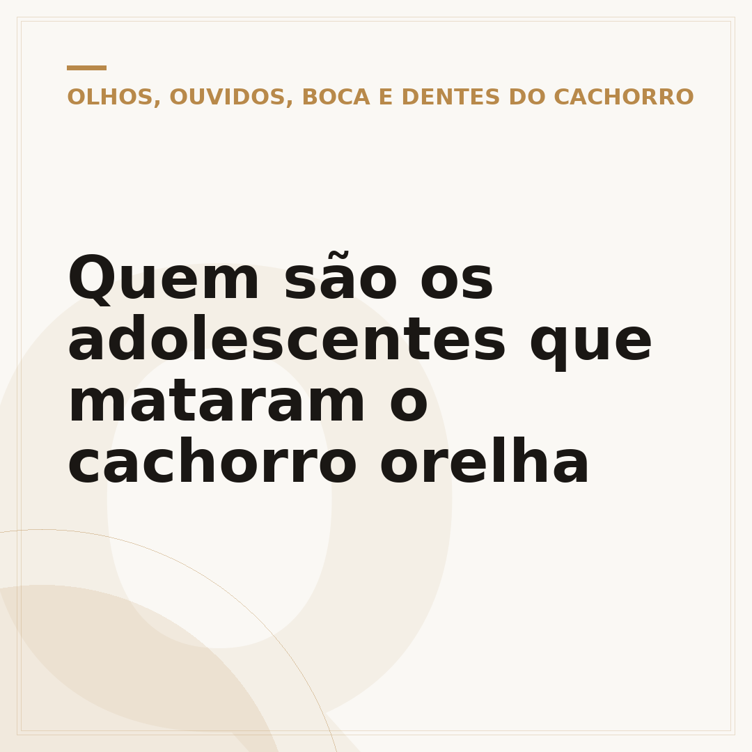 Quem são os adolescentes que mataram o cachorro orelha