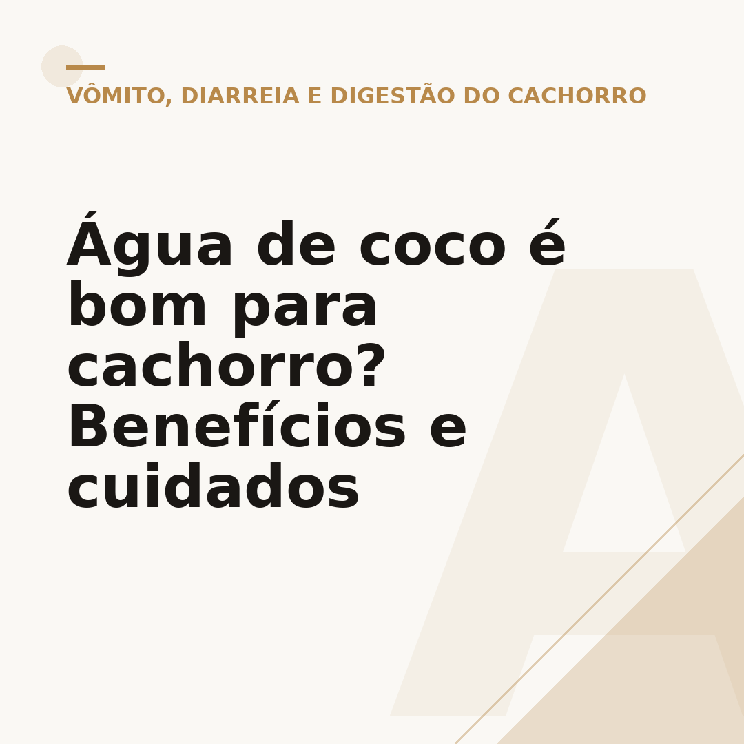 Água de coco é bom para cachorro? Benefícios e cuidados