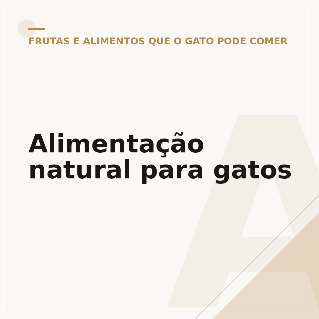 Alimentação natural para gatos