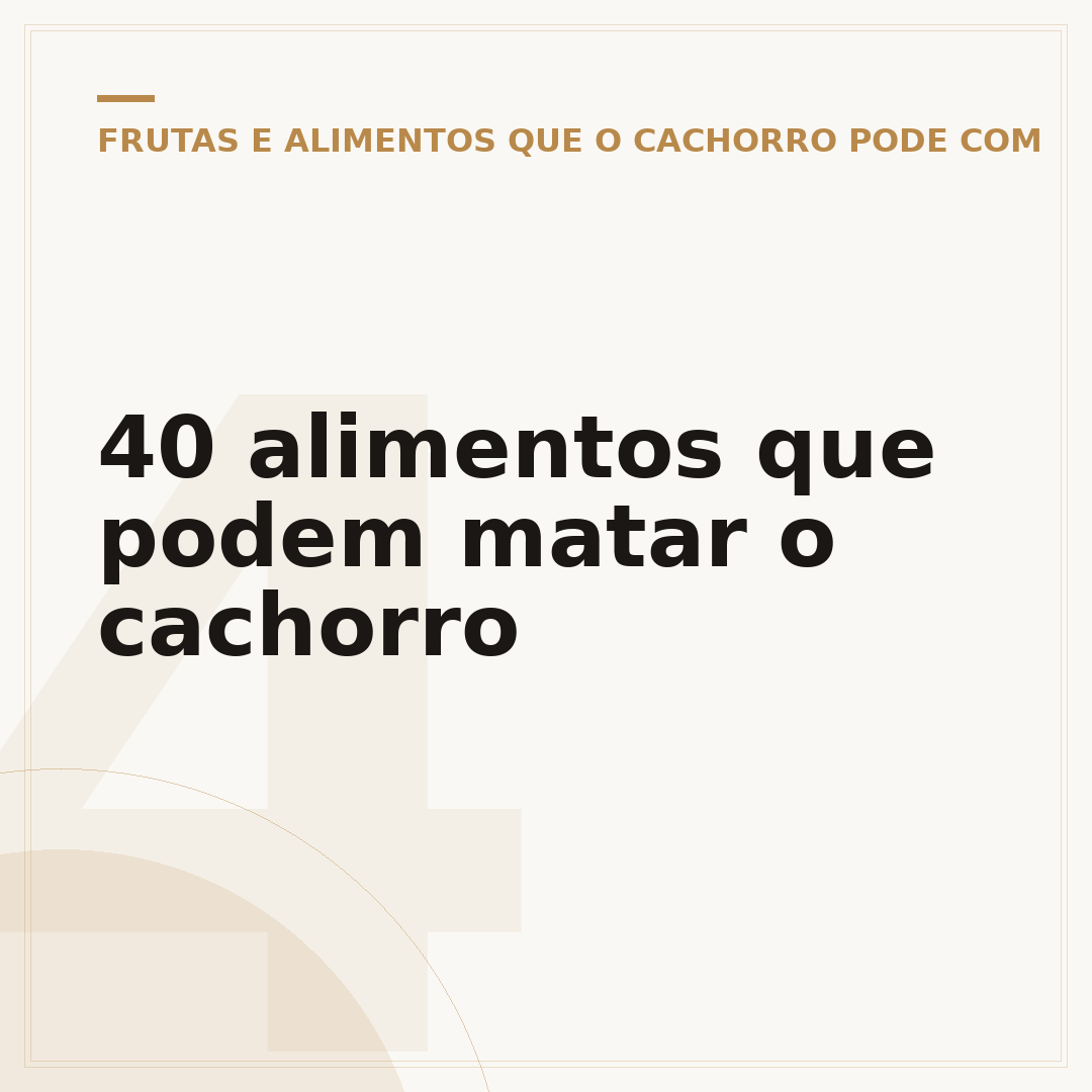 40 alimentos que podem matar o cachorro