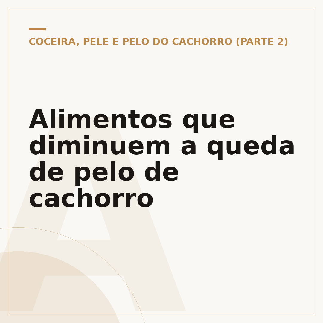 Alimentos que diminuem a queda de pelo de cachorro