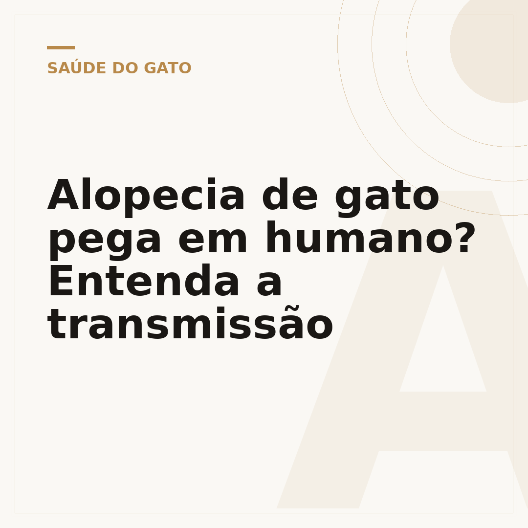 Alopecia de gato pega em humano? Entenda a transmissão