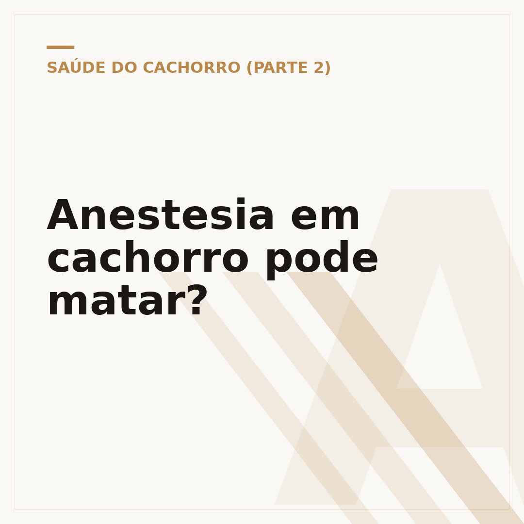 Anestesia em cachorro pode matar?