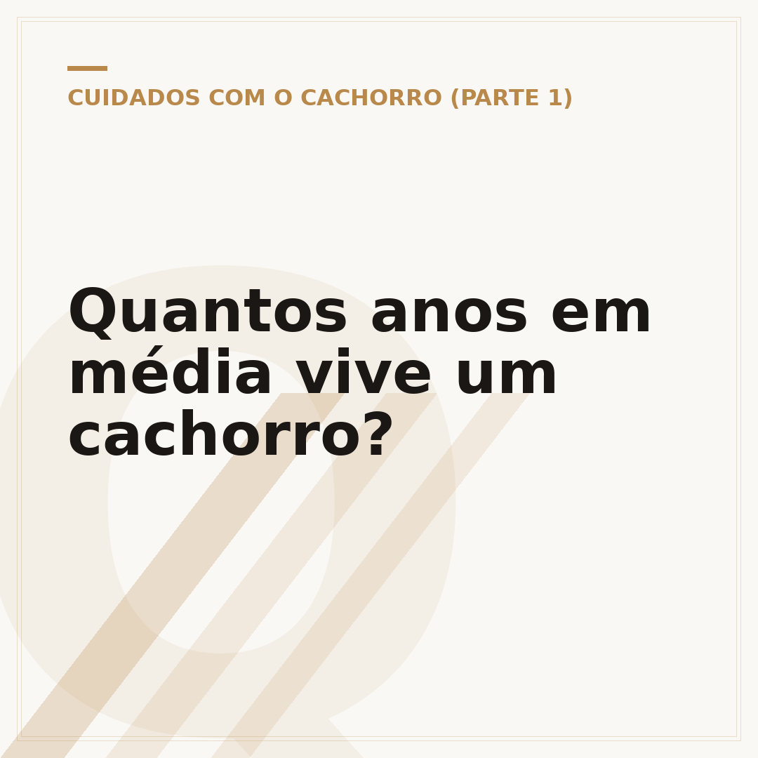 Quantos anos em média vive um cachorro?