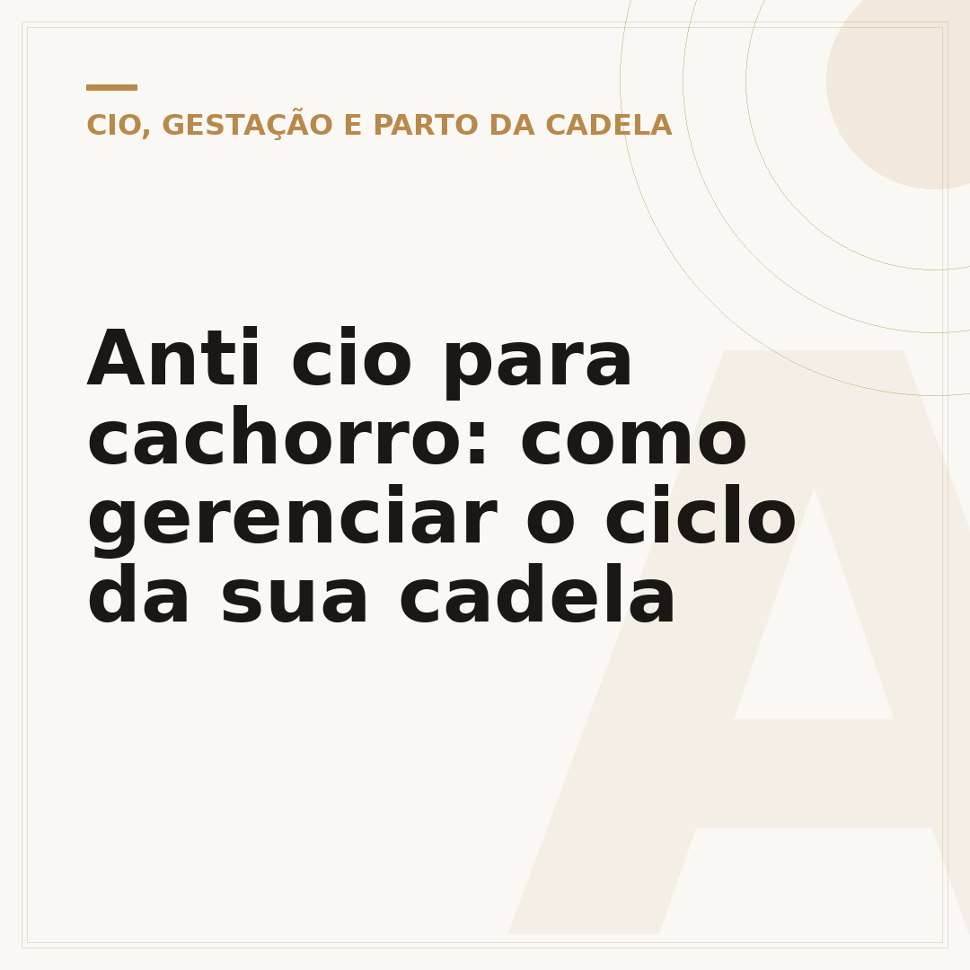 Anti cio para cachorro: como gerenciar o ciclo da sua cadela