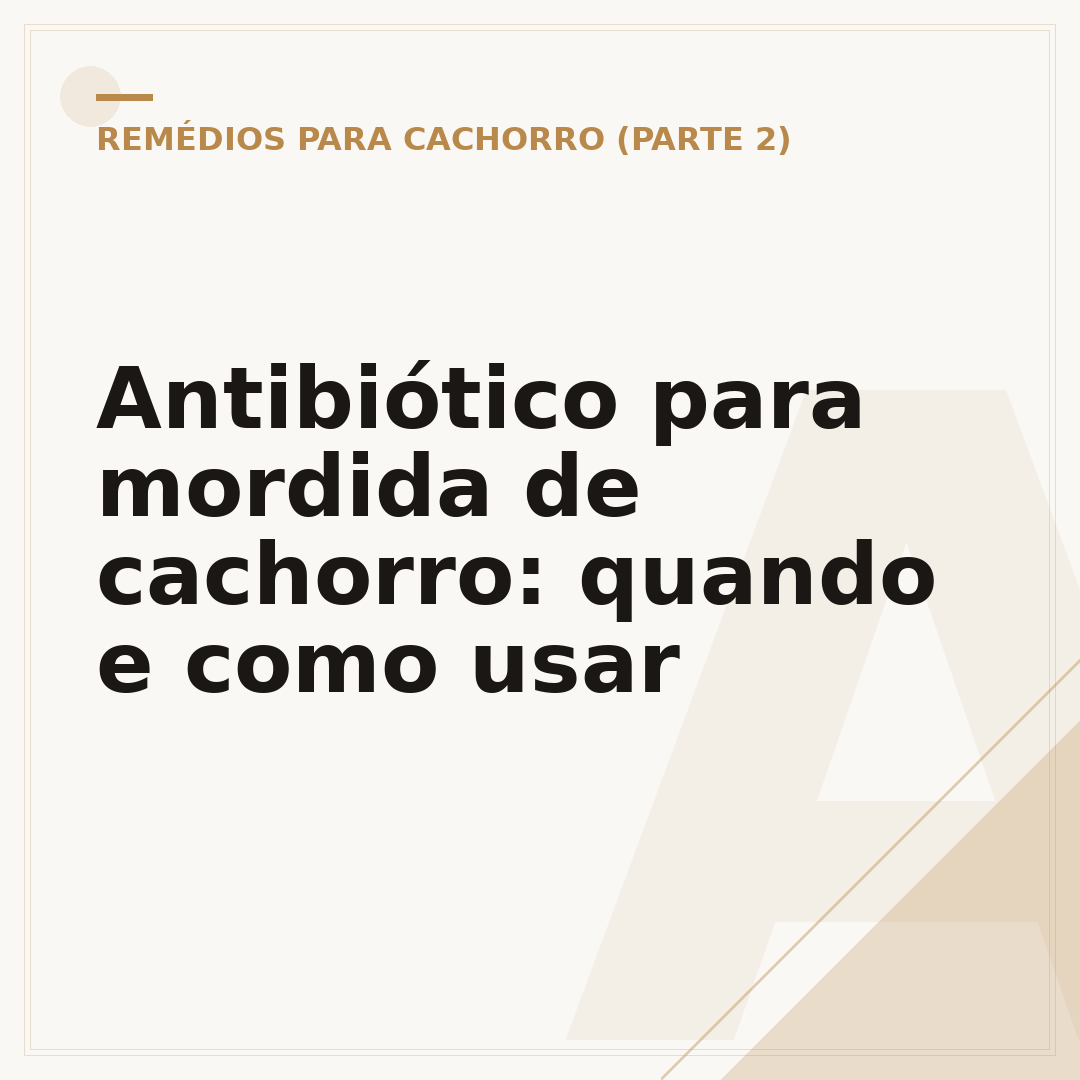 Antibiótico para mordida de cachorro: quando e como usar