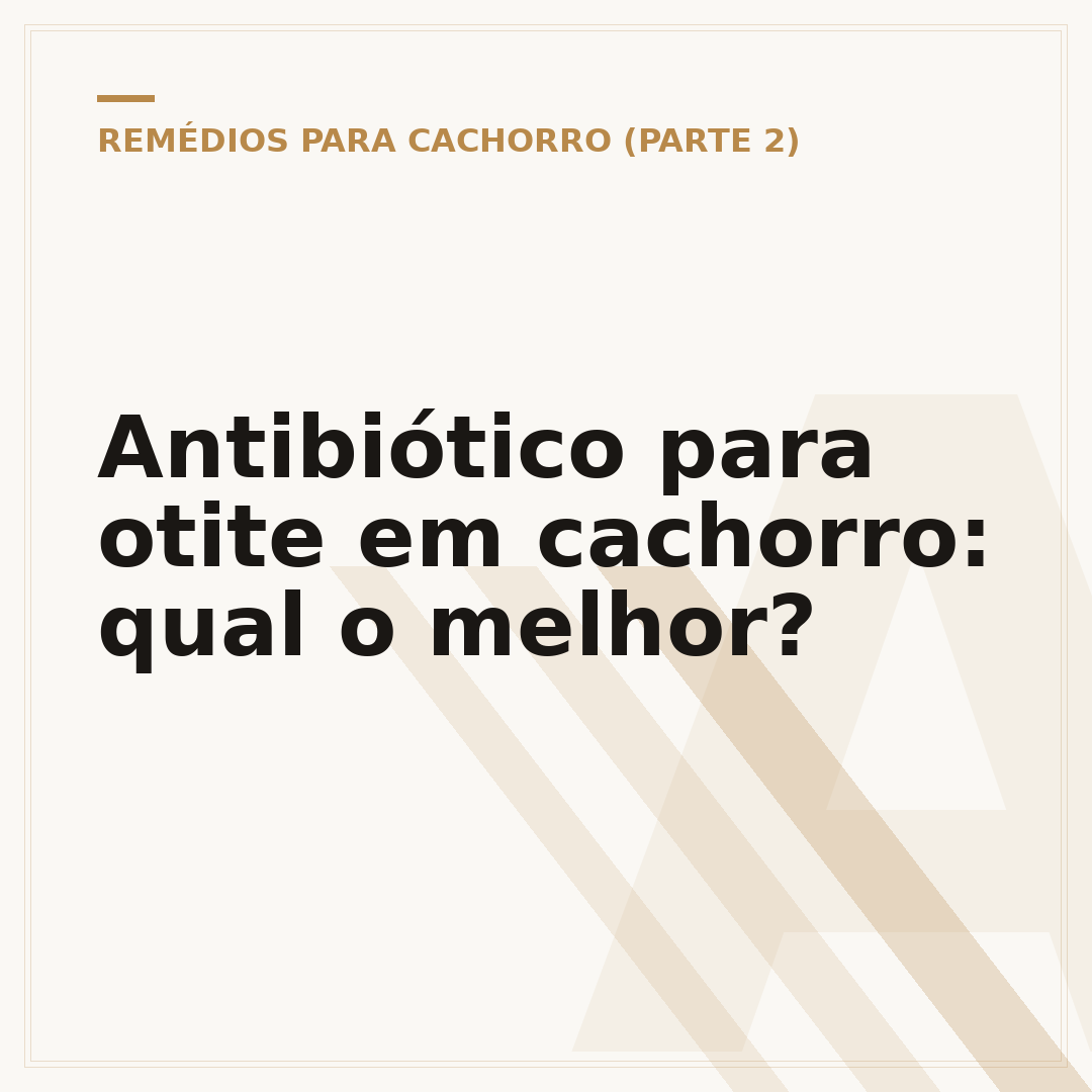 Antibiótico para otite em cachorro: qual o melhor?