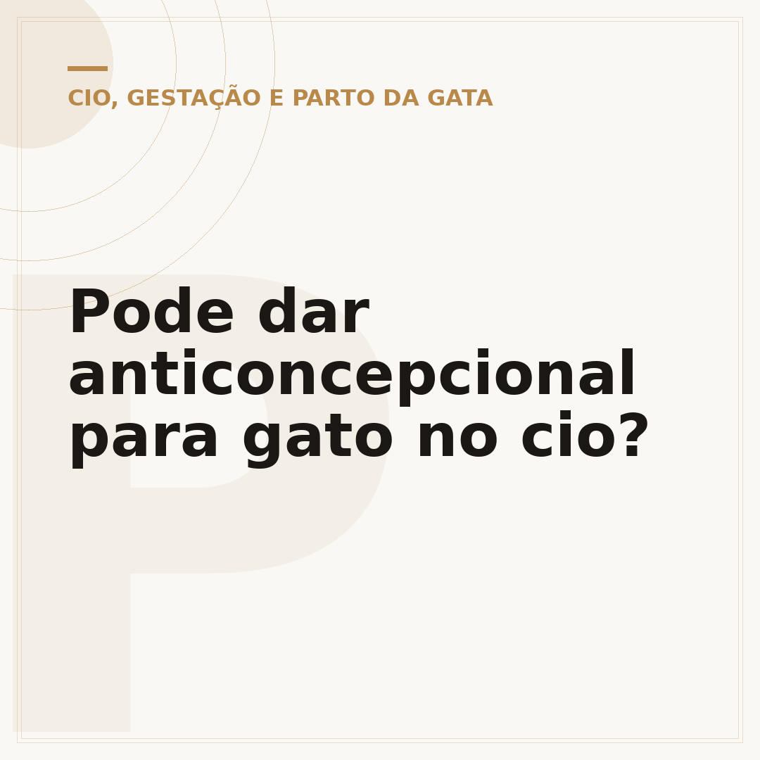 Pode dar anticoncepcional para gato no cio?