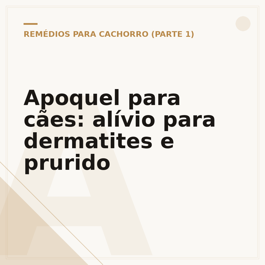 Apoquel para cães: alívio para dermatites e prurido