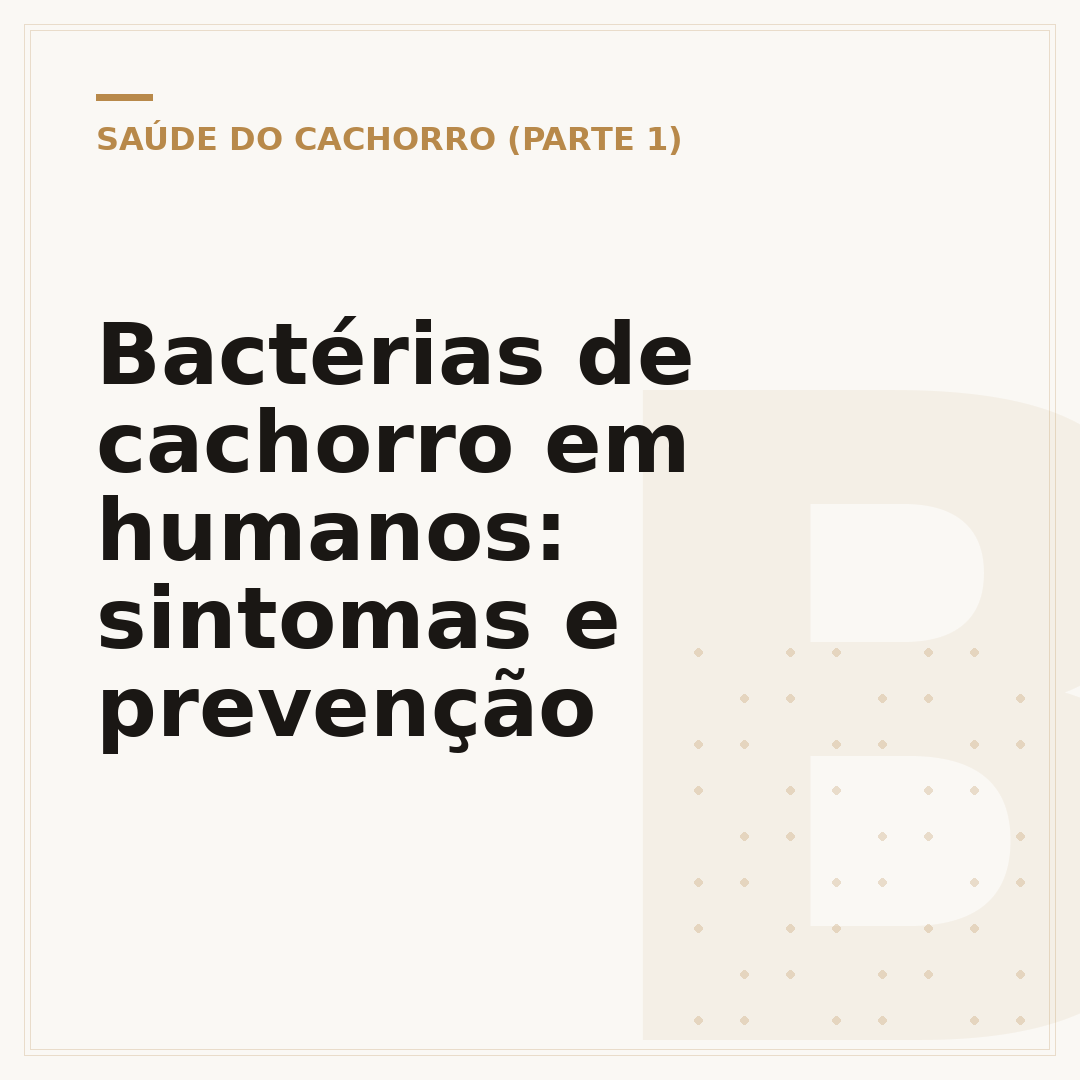 Bactérias de cachorro em humanos: sintomas e prevenção