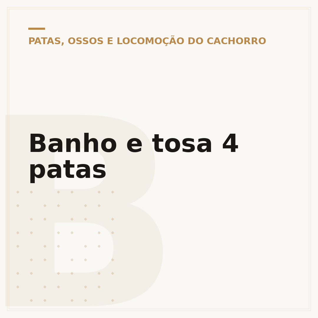 Banho e tosa 4 patas