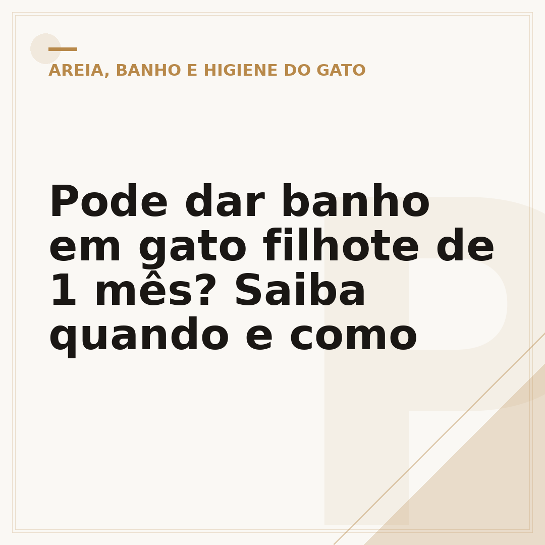 Pode dar banho em gato filhote de 1 mês? Saiba quando e como