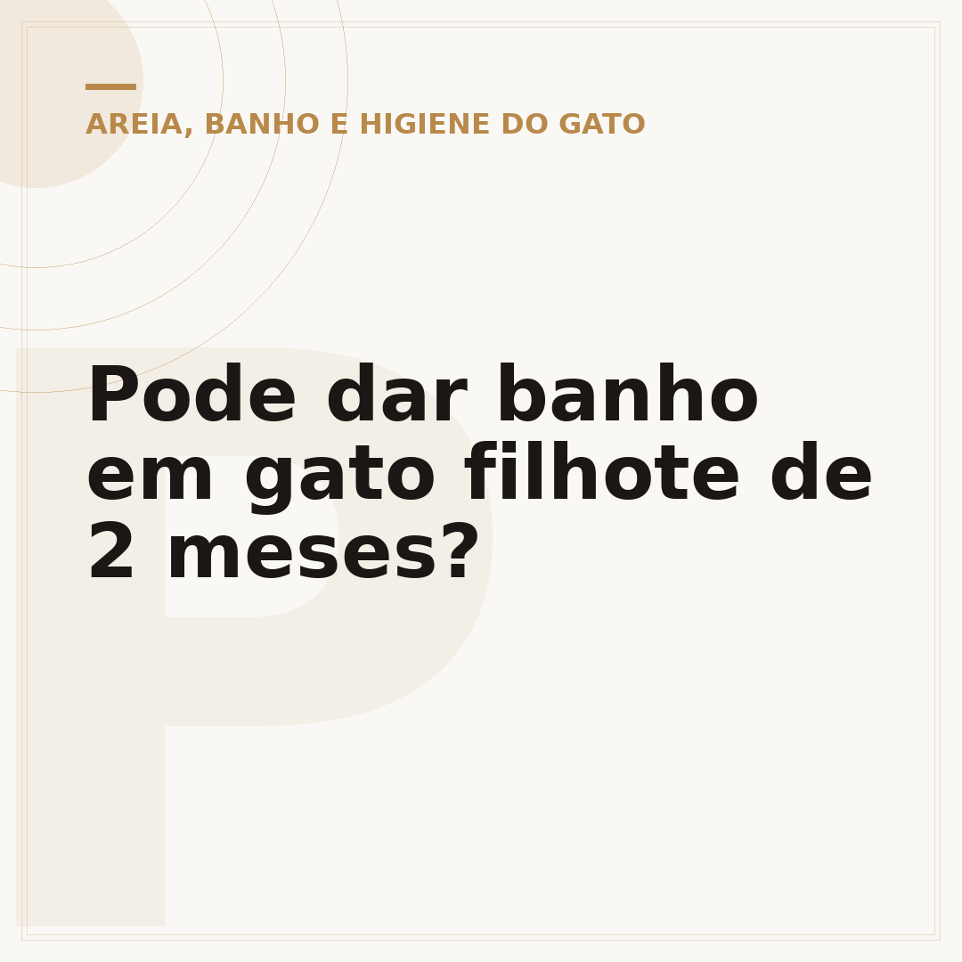 Pode dar banho em gato filhote de 2 meses?