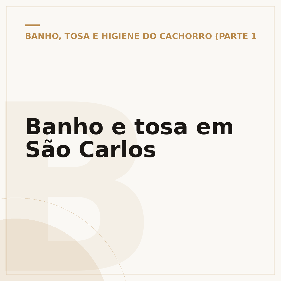 Banho e tosa em São Carlos