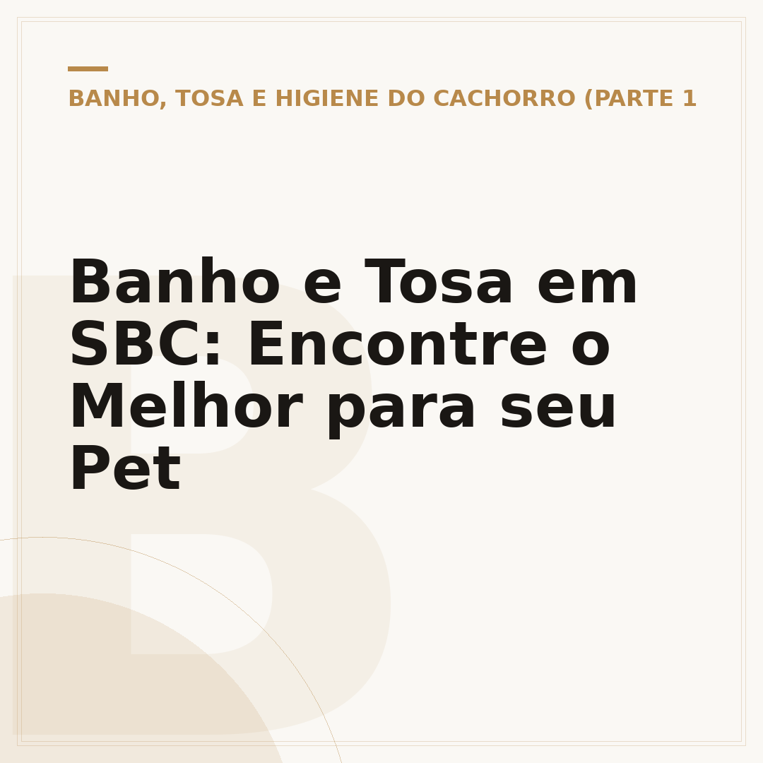 Banho e Tosa em SBC: Encontre o Melhor para seu Pet