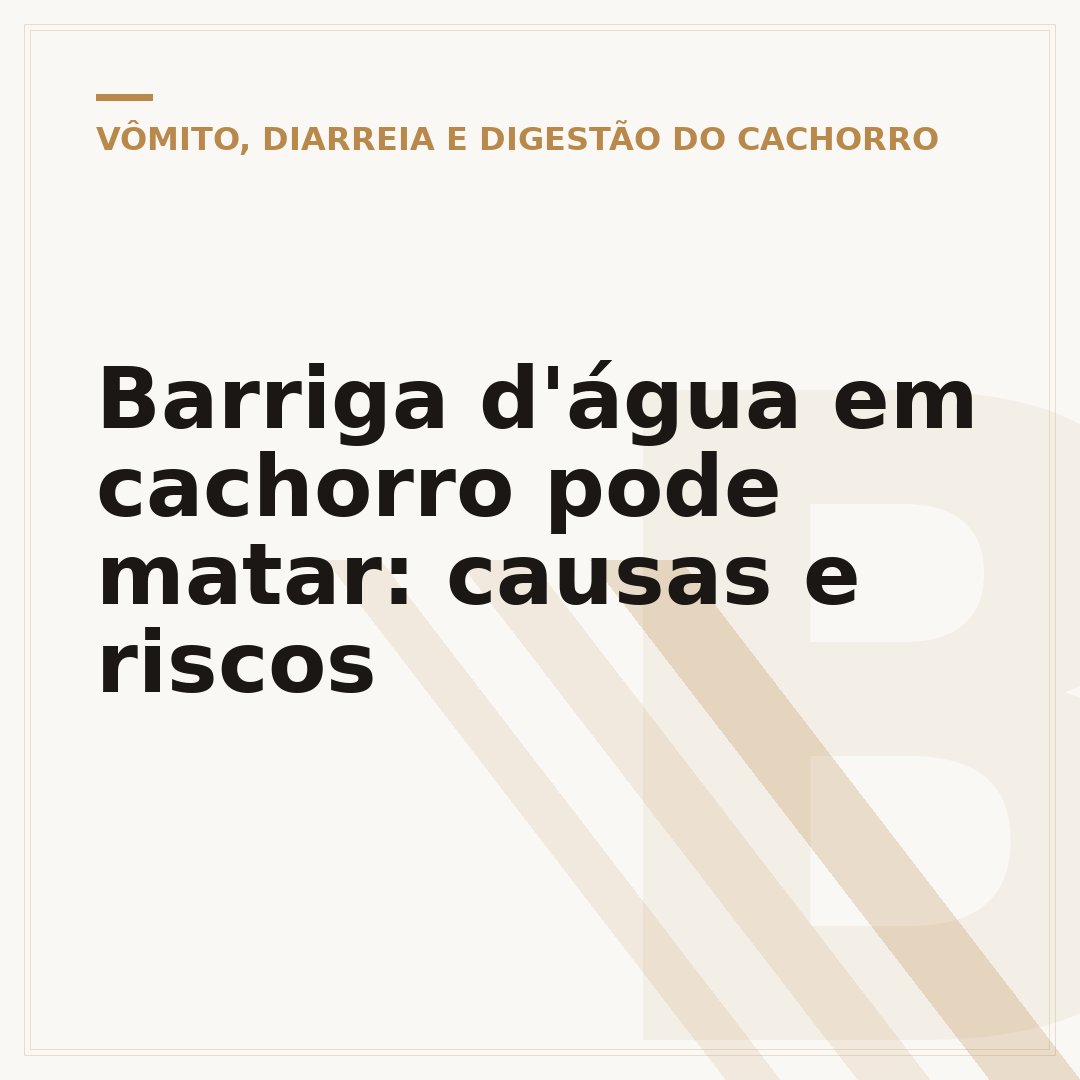Barriga d'água em cachorro pode matar: causas e riscos