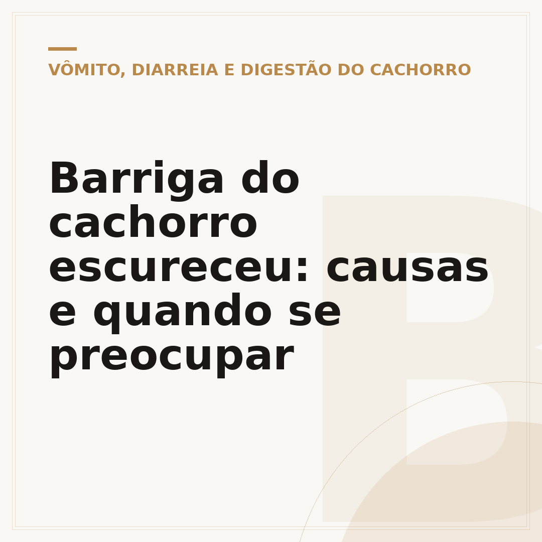 Barriga do cachorro escureceu: causas e quando se preocupar