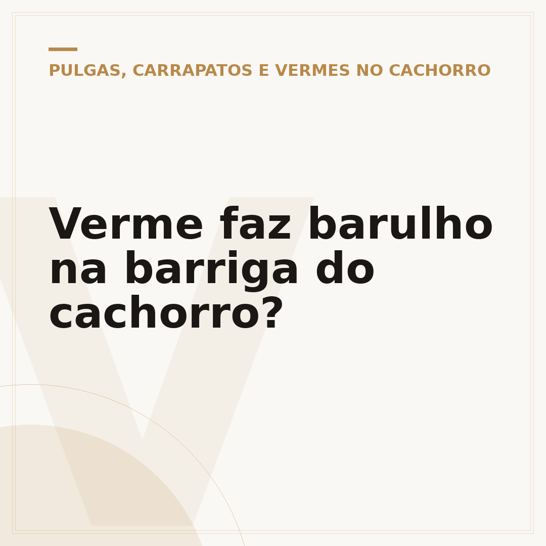 Verme faz barulho na barriga do cachorro?