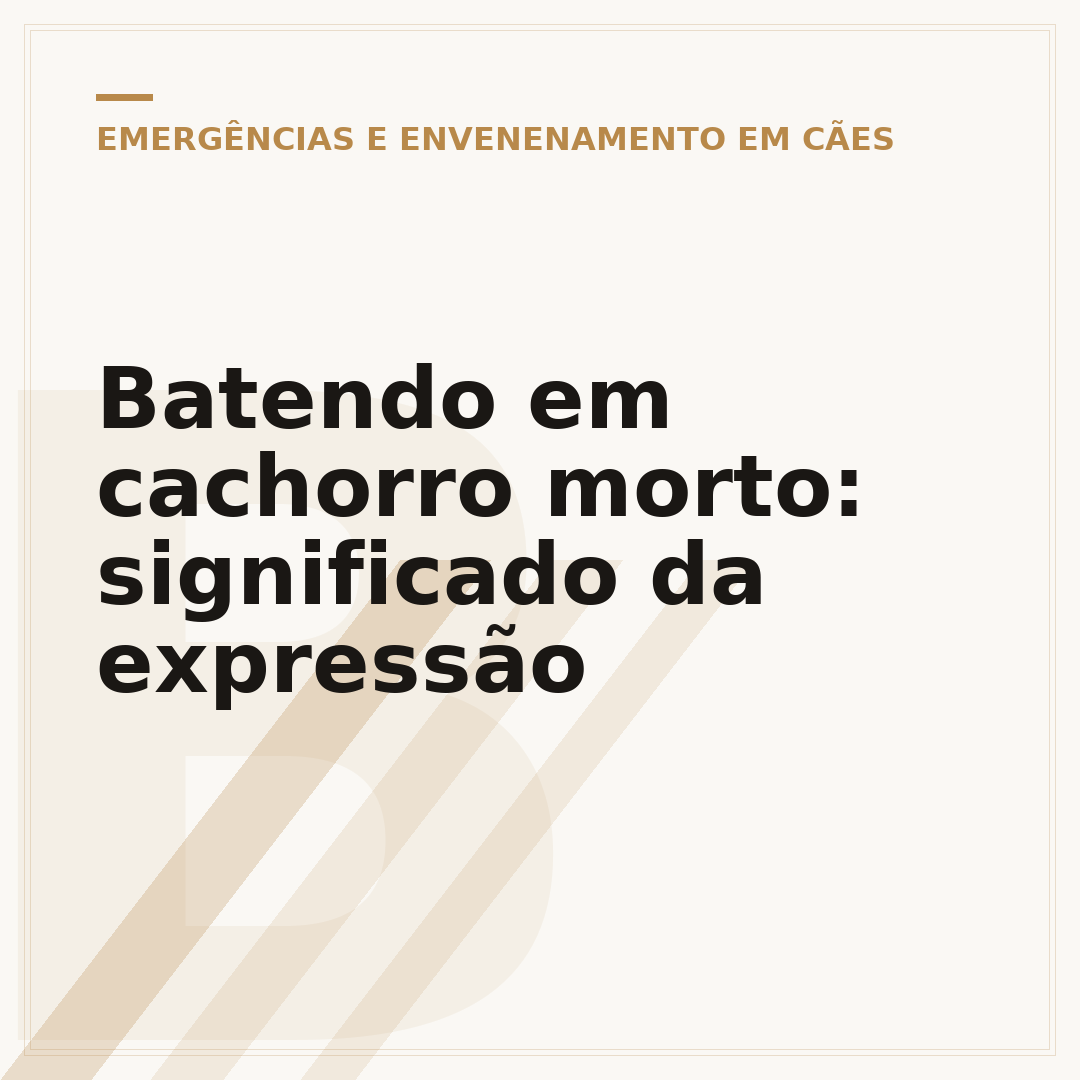 Batendo em cachorro morto: significado da expressão